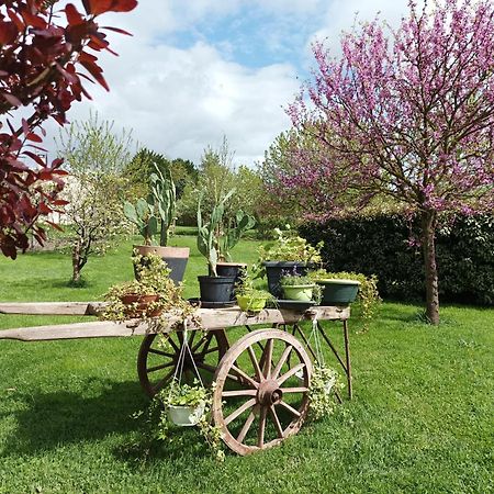 Le Logis De Lange Apt Les Aigrettes Leilighet Saint-Hilaire-la-Palud Eksteriør bilde