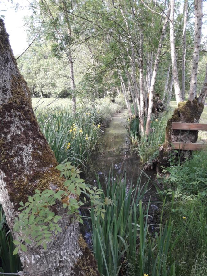 Le Logis De Lange Apt Les Aigrettes Leilighet Saint-Hilaire-la-Palud Eksteriør bilde