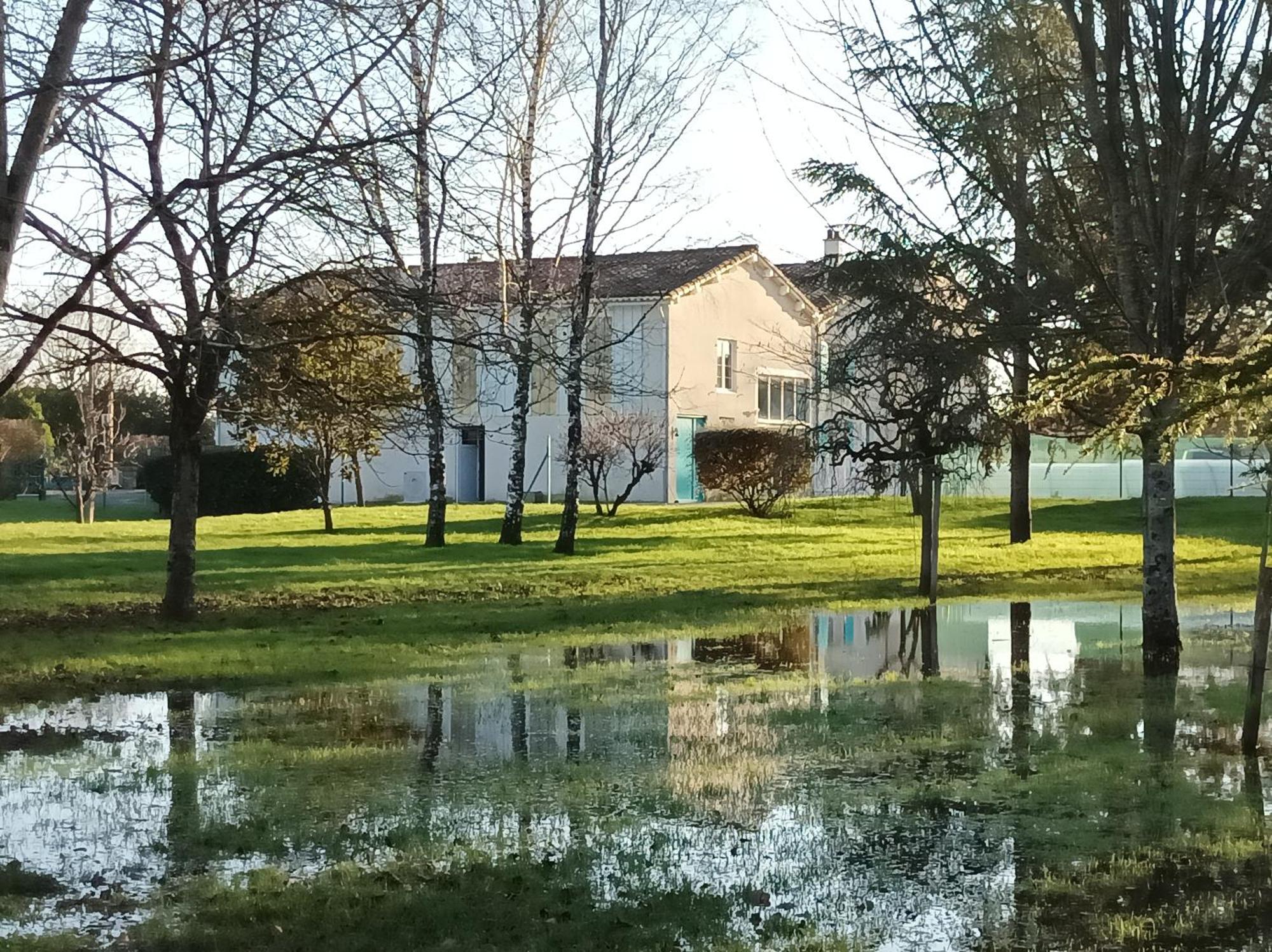 Le Logis De Lange Apt Les Aigrettes Saint-Hilaire-la-Palud Eksteriør bilde